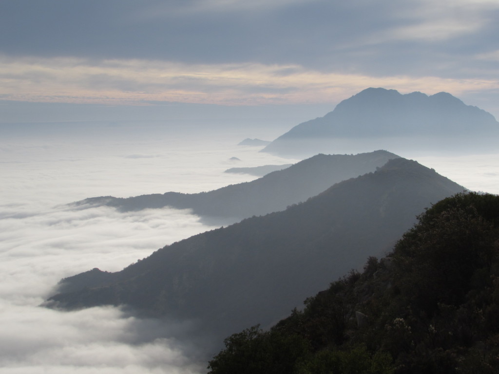 Vista a La Campana desde Cerro El Roble